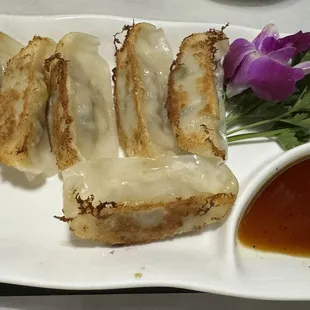 6 Piece Gyoza