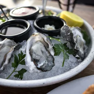 fresh oysters