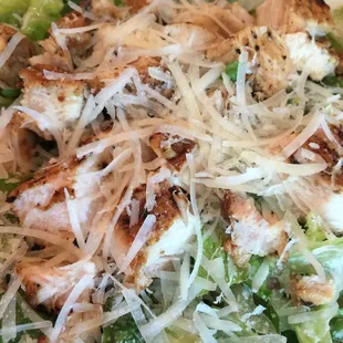 Chicken Caesar Salad