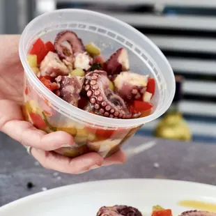 Octopus made from MozzLab kitchen