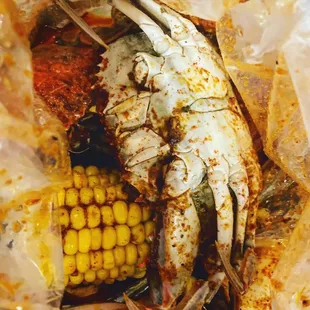 Blue Crab