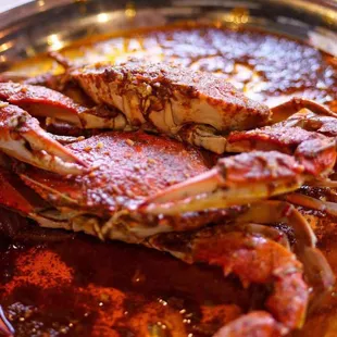 a close up of a crab