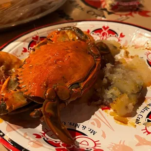 a crab on a plate with mashed potatoes