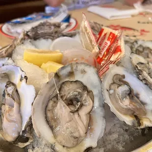 a plate of oysters