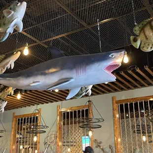 a shark and fish hanging from the ceiling