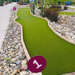 Picture of all courses