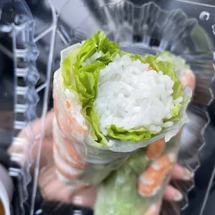 Shrimp Spring Roll
