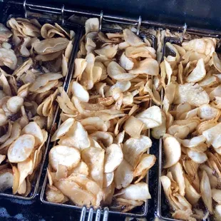 food, oysters, shellfish, oysters and mussels, mussels