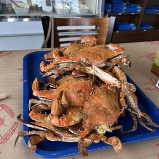 Steamed Medium Crabs