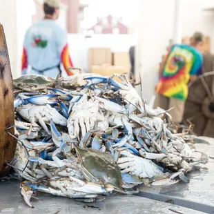 a pile of blue crabs