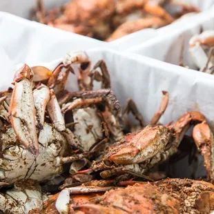 crabs in baskets