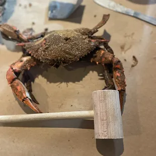 They only had small crabs. If you&apos;re driving a long distance to get here I suggest calling beforehand so you won&apos;t be disappointed!