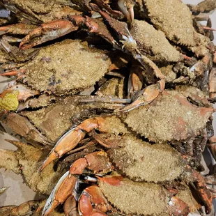 3&apos;13&apos;2024 Large/ Medium Crabs