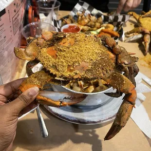 Large male crabs