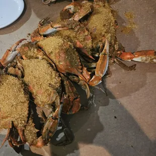 Large crabs