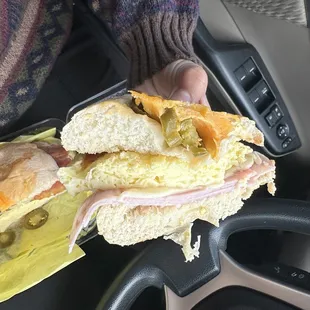 a person holding a sandwich