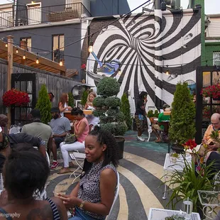 Our backyard! Photo by janet e. dandridge