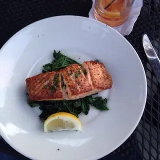 Salmon