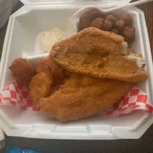 Catfish Filet
