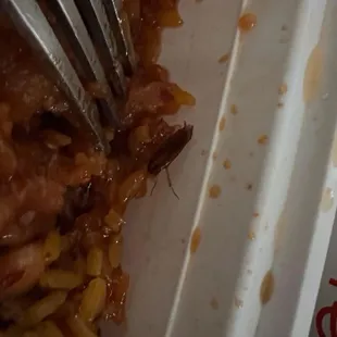 General Tso's Chicken Dinner Special