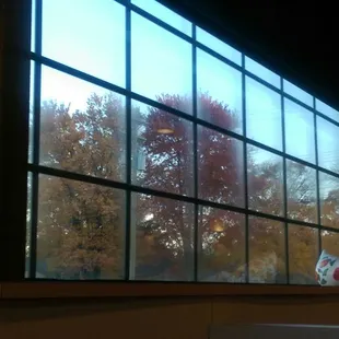 This photo doesn't reflect the pretty colors on the trees outside the window but I enjoyed the fall view while I ate my dinner