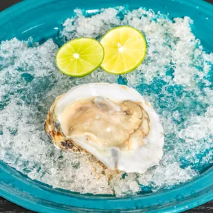 food, mussels, shellfish, oysters and mussels, oysters