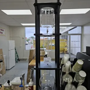 a view of a coffee bean head