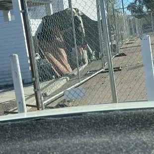 Woman in tent sleeping in back