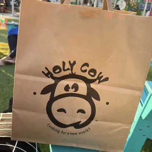 Cute To-Go bag