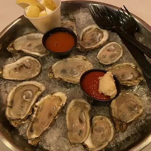 Oysters
