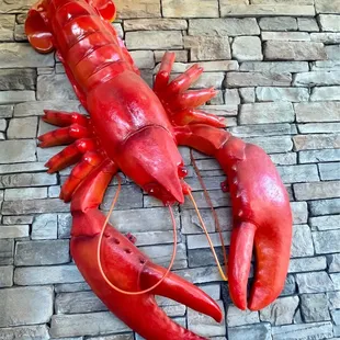 I got attacked by a giant lobster