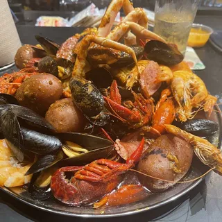 Black Mussel