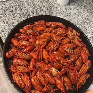 Crawfish!
