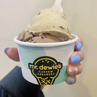 Single Split Scoop Caramel Almond and Chocolate Orange Chip