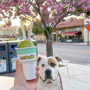 Matcha scoop &amp; Strawberry bon bon
