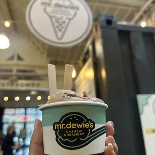 Mocha chip + chocolate orange chip split single scoop