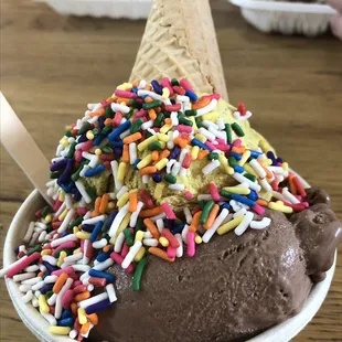 Dark Chocolate Coconut Chunks