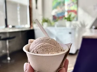 Tara's Organic Ice Cream