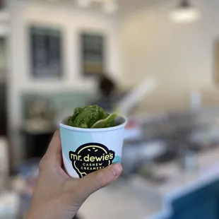 a hand holding a cup of ice cream