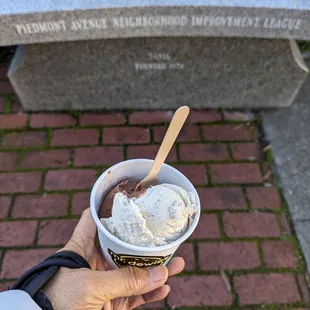 Chocolate Orange Chip