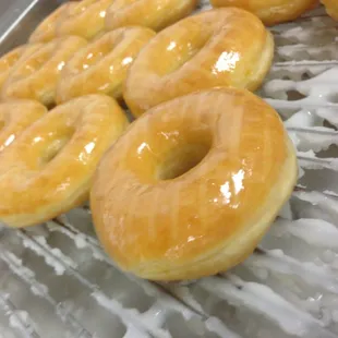 Daily Hot &amp; Fresh Glazed Donuts