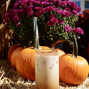 fall special: pumpkin spice latte
