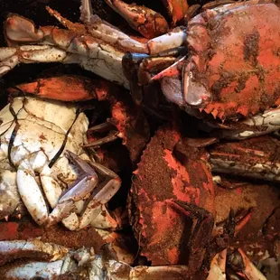 1/2 bushel of med and larges