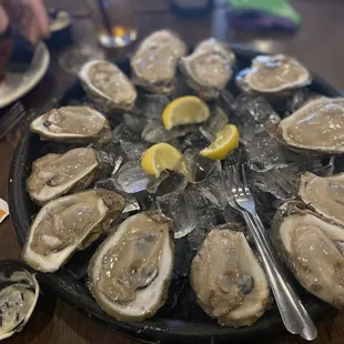 Raw Oysters