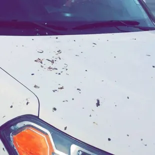 My car after $10 wash today...