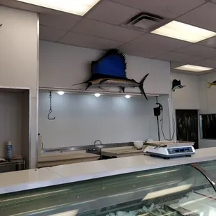 a fish display in a fish shop