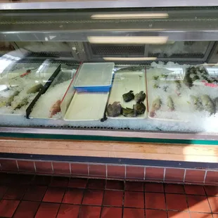 a display of fresh fish in a glass case
