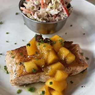 Salmon