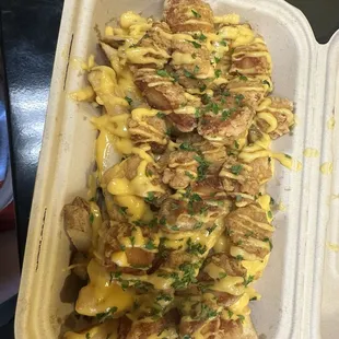 Chicken and nacho cheese fries