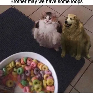 Brotha got there loops